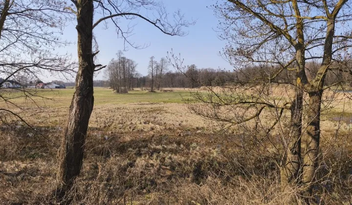 Działka rolna Józefina