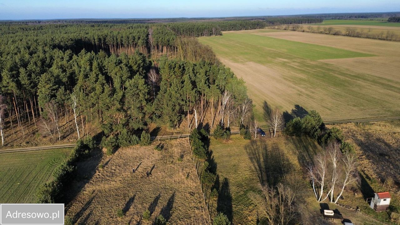 Działka budowlana Tylewice. Zdjęcie 4