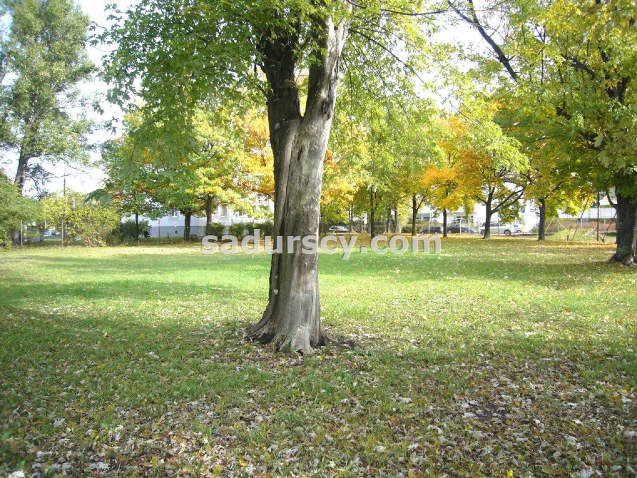 Działka inwestycyjna Warszawa Praga-Południe