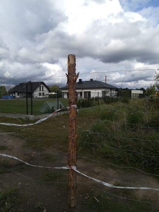 Działka budowlana Łochowo. Zdjęcie 2