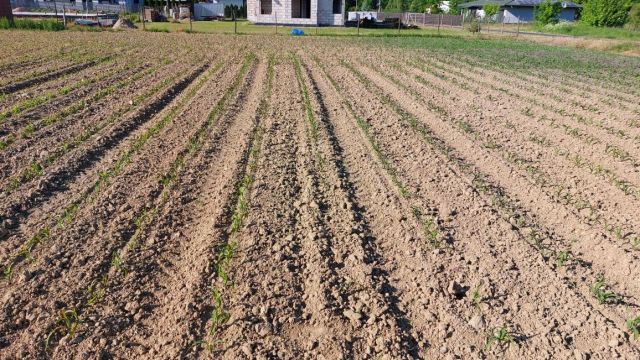 Działka budowlana Kuczek. Zdjęcie 1