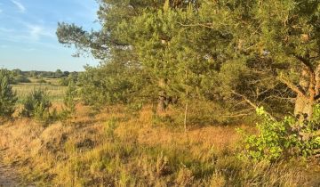 Działka budowlana Łośno