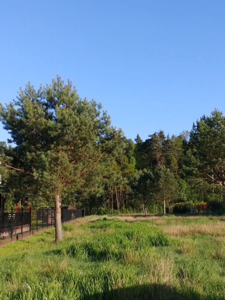 Działka rolno-budowlana Zabieżki, ul. Złotej Jesieni. Zdjęcie 2