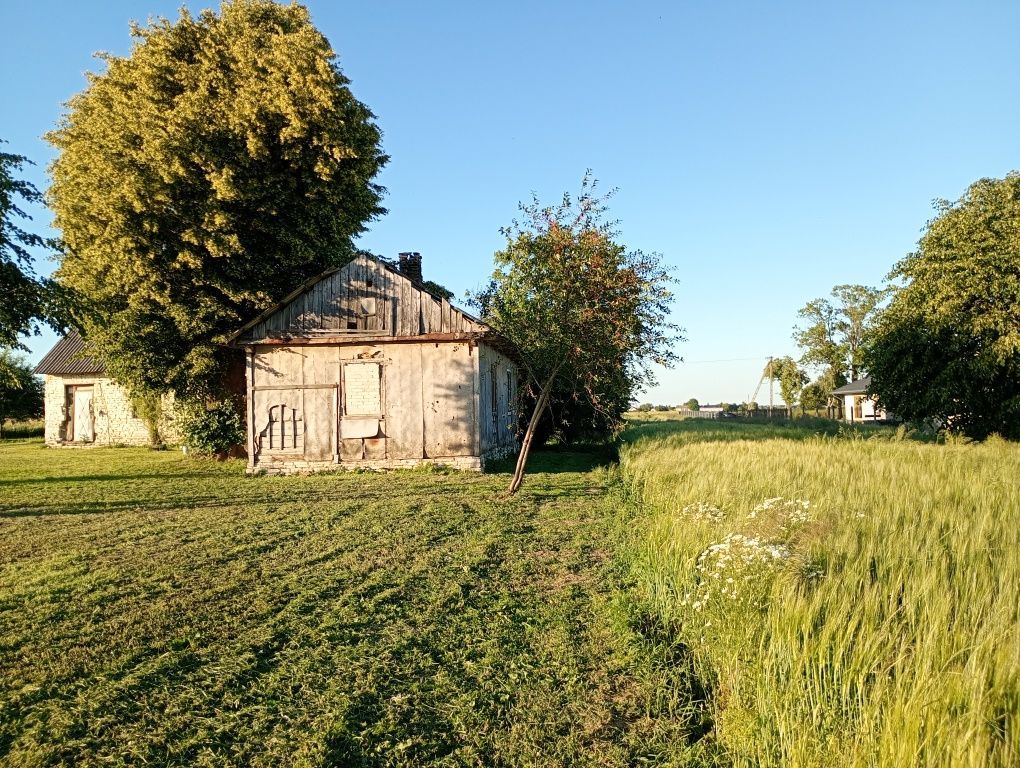 Działka siedliskowa Kozice Dolne-Kolonia. Zdjęcie 2