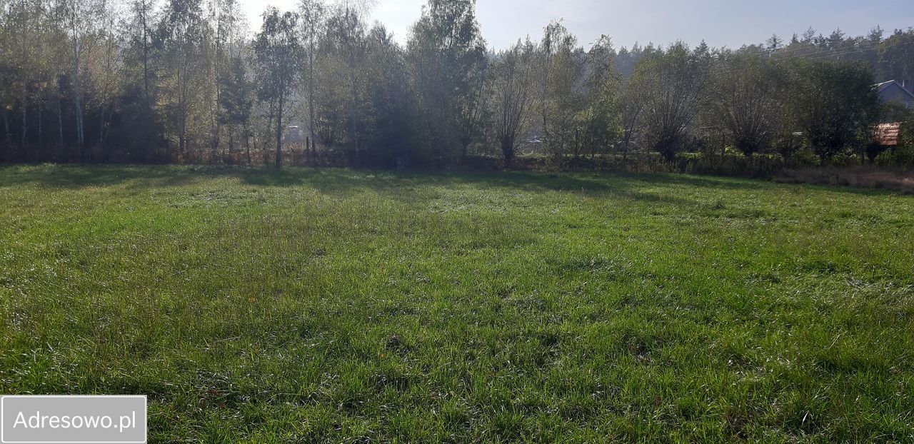 Działka budowlana Motyczyn. Zdjęcie 2