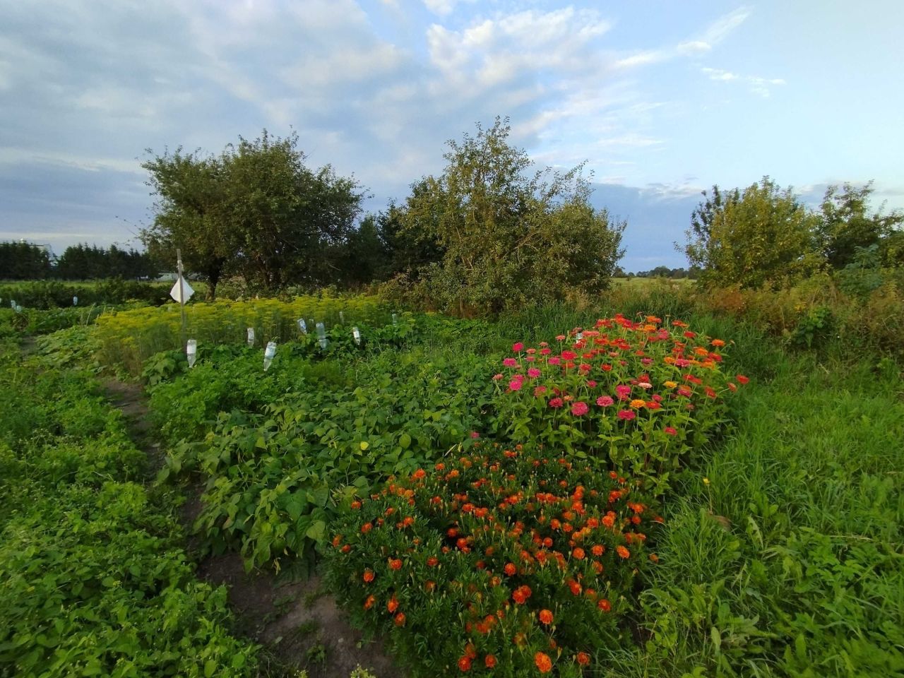 gospodarstwo Marynowo. Zdjęcie 2