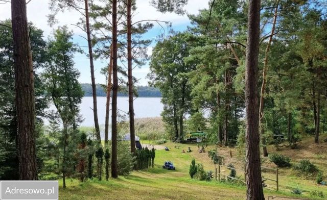 Działka inwestycyjna Dołgie. Zdjęcie 1