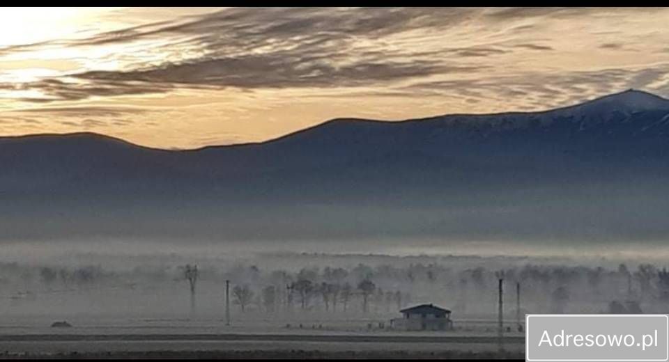 Działka rolna Wojcieszyce. Zdjęcie 11