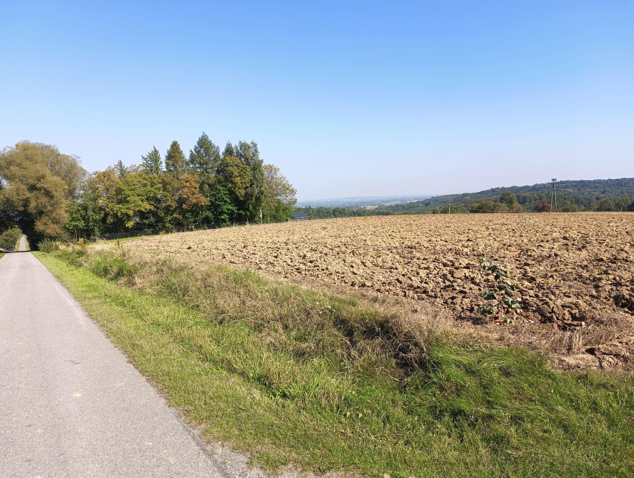 Działka rolno-budowlana Wiśniowa Dziadówki