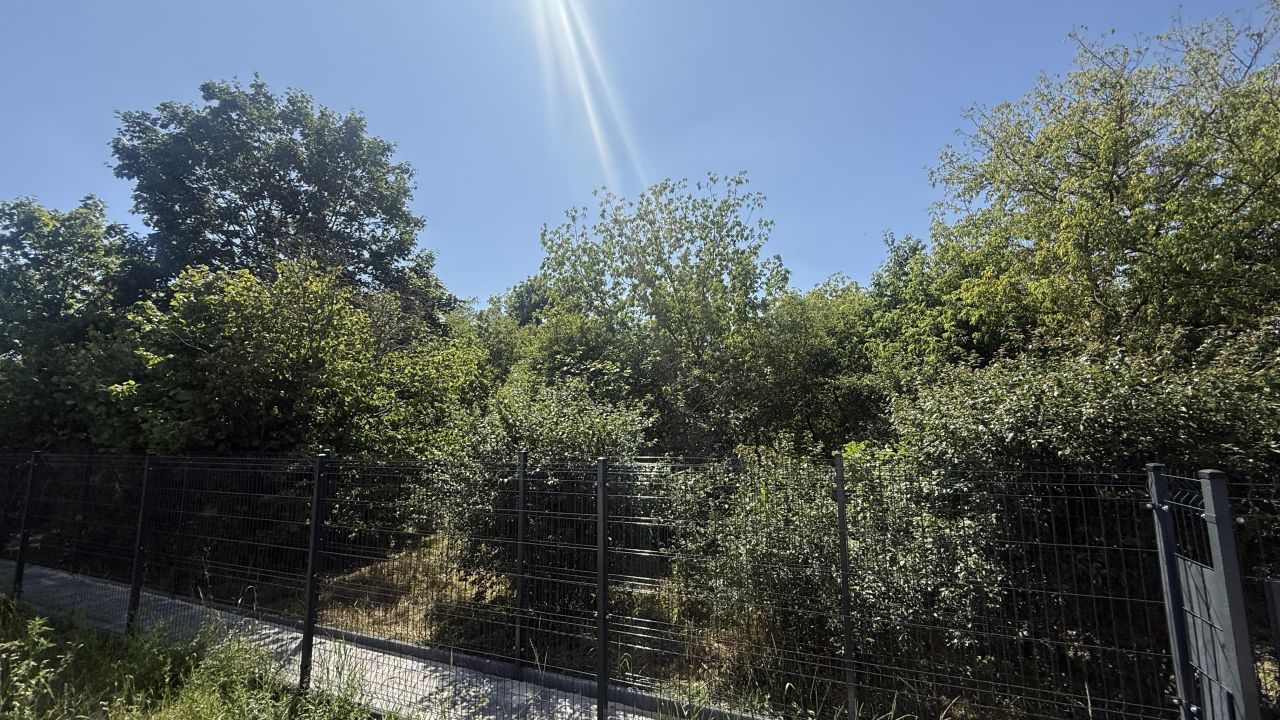 Działka budowlana Warszawa Wawer, ul. Palmowa. Zdjęcie 4