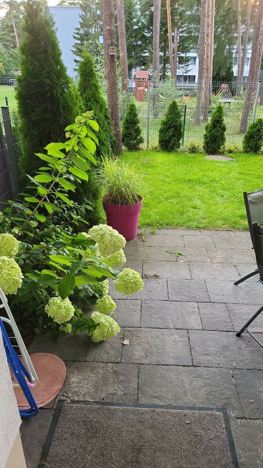 Mieszkanie 1-pokojowe Pogorzelica. Zdjęcie 4