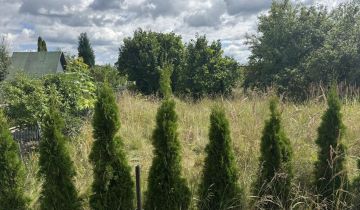 Działka rod Osiek, ul. św. Katarzyny