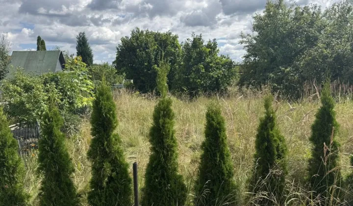 Działka rod Osiek, ul. św. Katarzyny