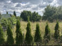 Działka rod Osiek, ul. św. Katarzyny