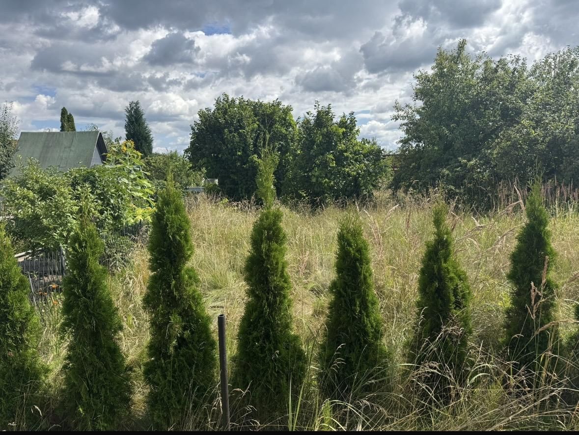 Działka rod Osiek, ul. św. Katarzyny