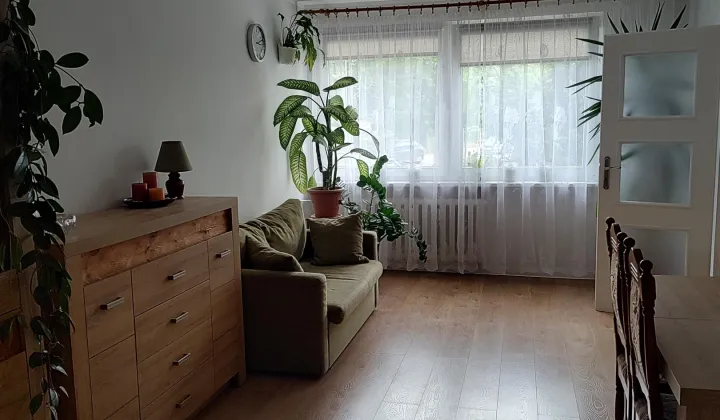 Mieszkanie 2-pokojowe Oława Centrum, Kamienna