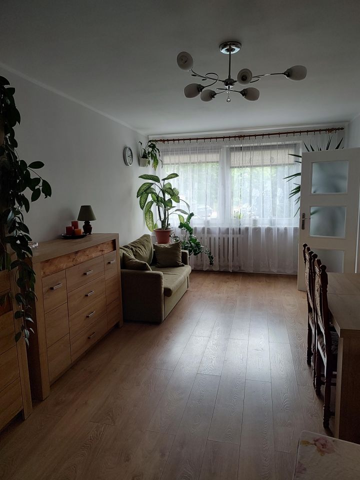 Mieszkanie 2-pokojowe Oława Centrum, Kamienna. Zdjęcie 1