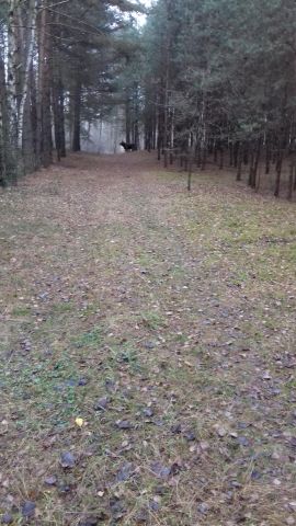 Działka rolno-budowlana Wólka-Konstancja. Zdjęcie 1
