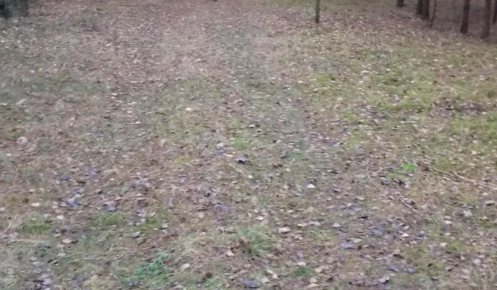 Działka rolno-budowlana Wólka-Konstancja