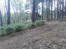 Działka rekreacyjna Kolonie Stanisławów. Zdjęcie 4