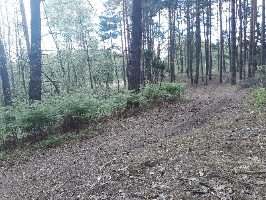 Działka rekreacyjna Kolonie Stanisławów. Zdjęcie 5