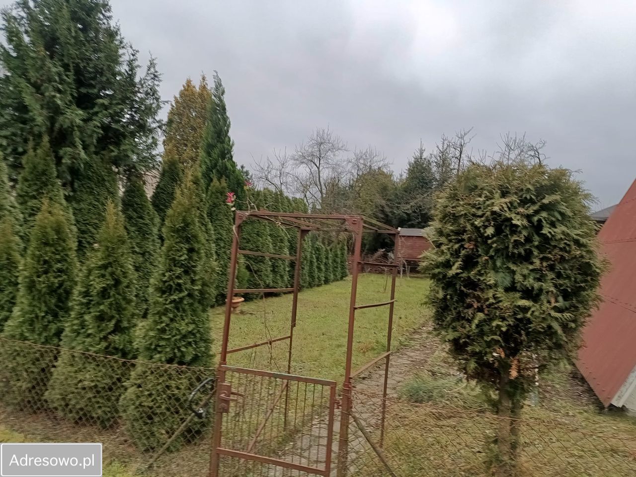 Działka rod Koninko. Zdjęcie 7