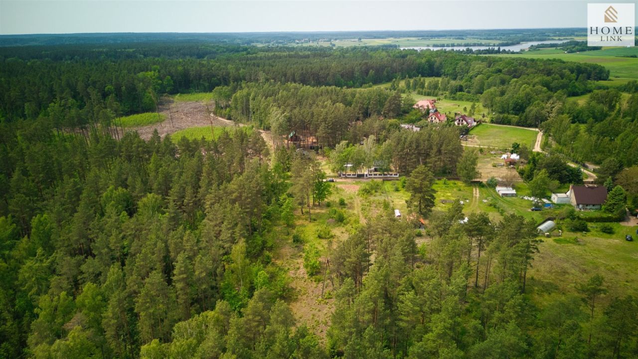 Działka leśna Klewki. Zdjęcie 8