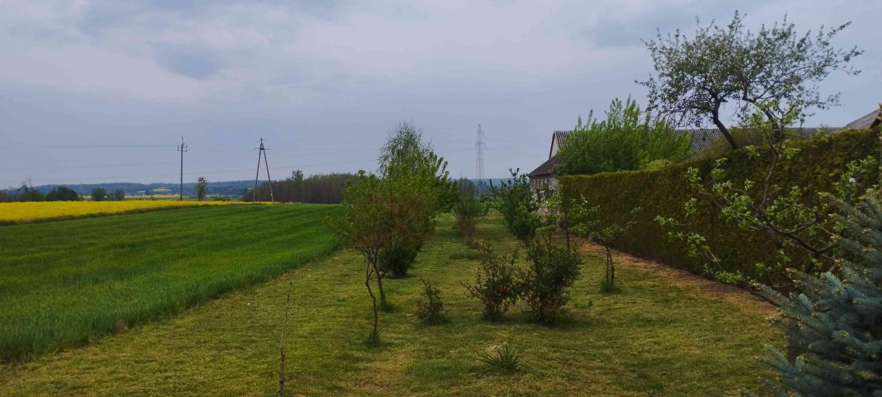 dom wolnostojący, 4 pokoje Czernięcin Poduchowny. Zdjęcie 36