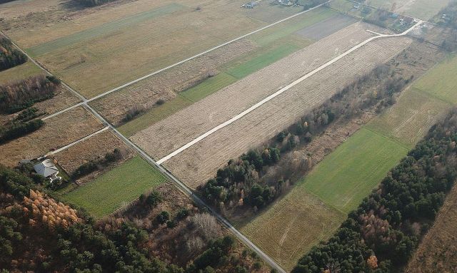 Działka rolno-budowlana Las Winiarski. Zdjęcie 8