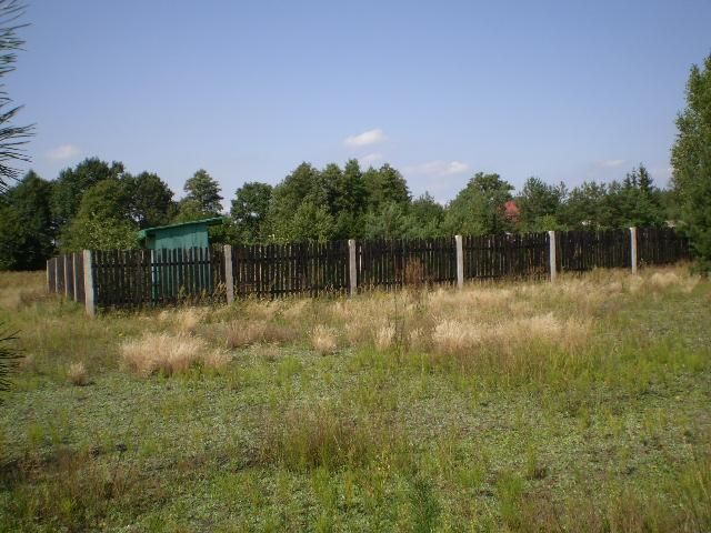 Działka rolno-budowlana Kaszewiec. Zdjęcie 8