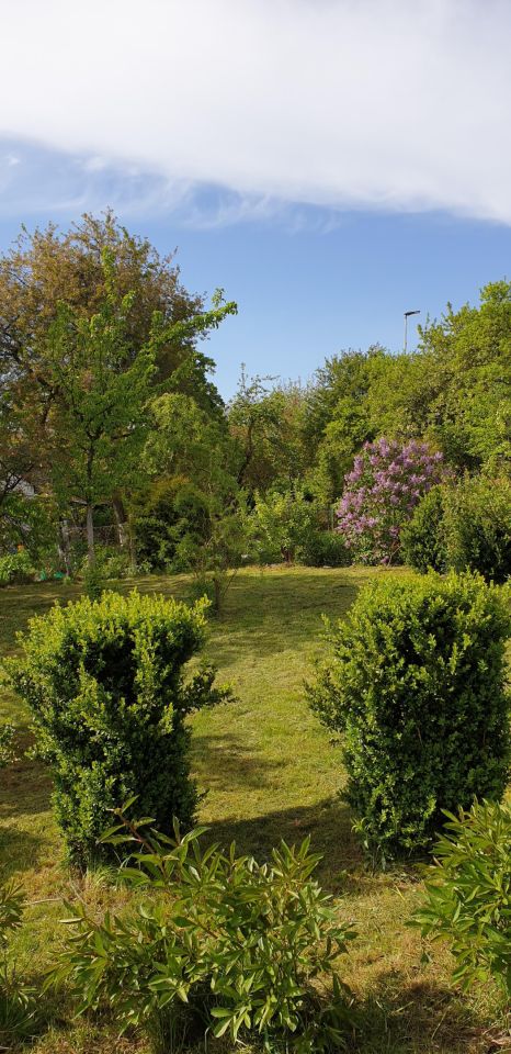 Działka rekreacyjna Szczecin Niebuszewo, ul. Rostocka