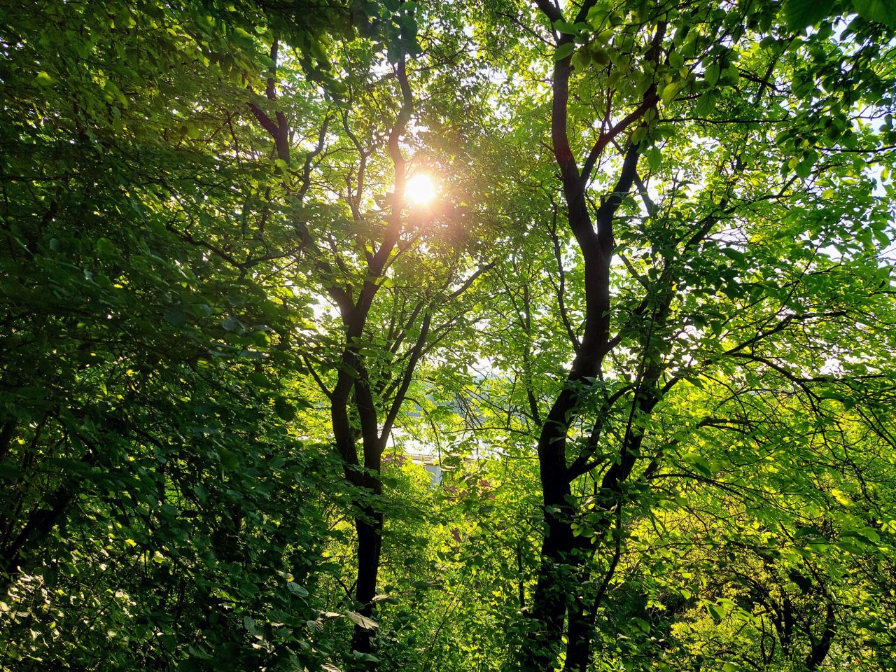 Działka inwestycyjna Kazimierz Dolny, ul. Norowy Dół. Zdjęcie 2