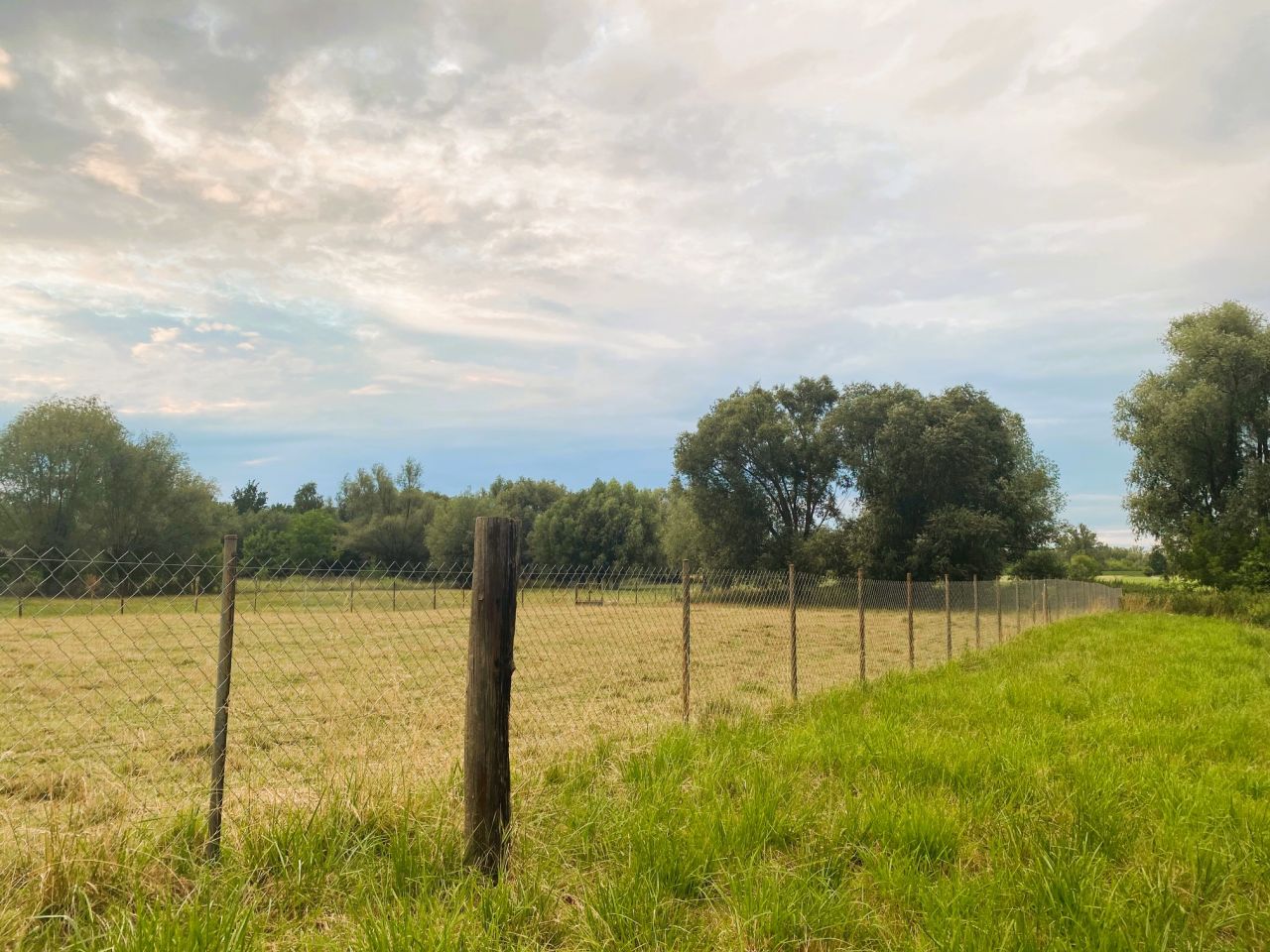 Działka budowlana Cząstków Mazowiecki. Zdjęcie 4