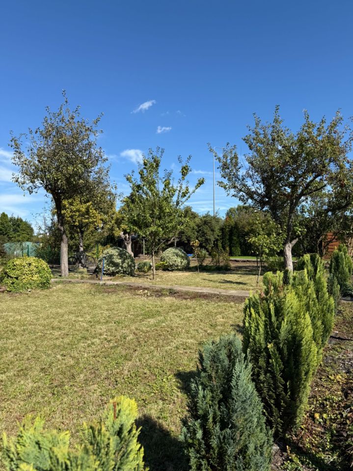 Działka rod Legnica. Zdjęcie 4