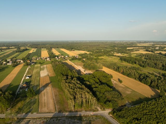 Działka budowlana Zadębie. Zdjęcie 10