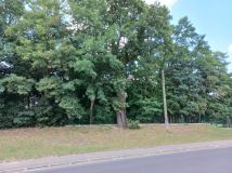 Działka budowlana Koło Kaliskie Przedmieście, ul. Jarosława Dąbrowskiego. Zdjęcie 1