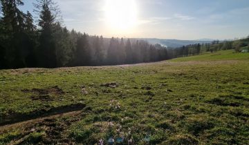 Działka budowlana Gliczarów Górny, ul. Kaniówka