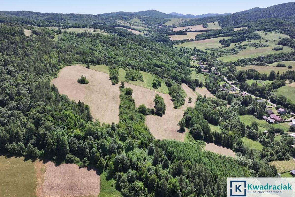 Działka rolna Stężnica. Zdjęcie 2