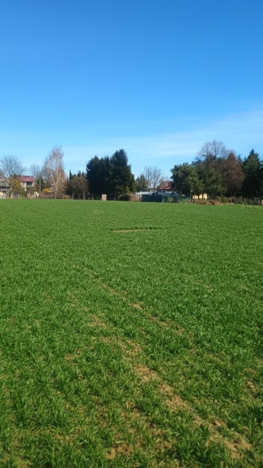 Działka rolno-budowlana Siedliska Kolonia