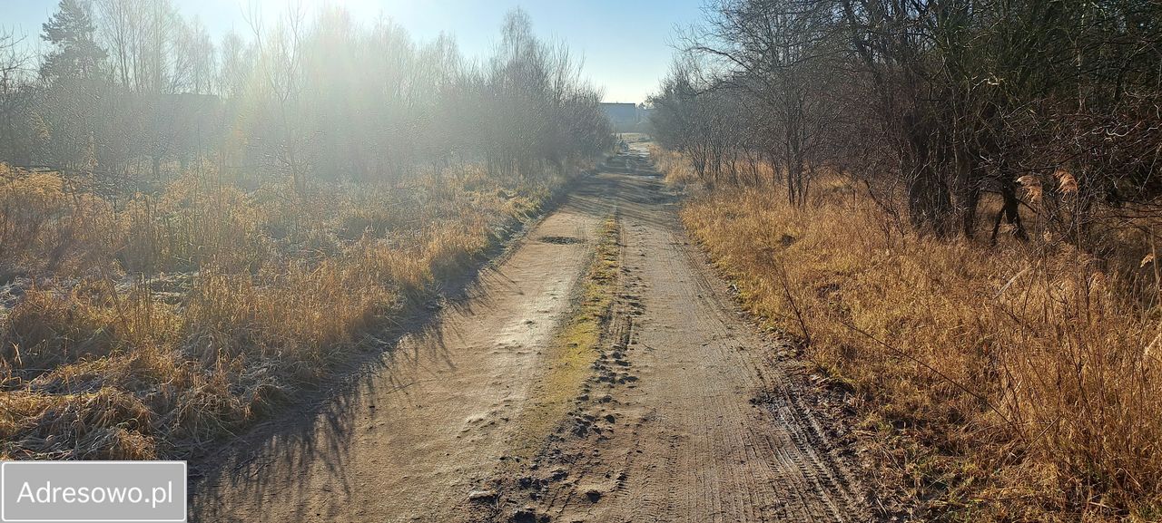 Działka budowlana Zielona Góra Nowy Kisielin, ul. Nowy Kisielin-Kasztanowa. Zdjęcie 4
