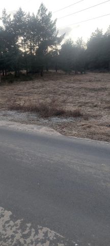 Działka rolno-budowlana Zgoda. Zdjęcie 4