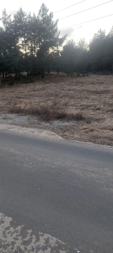 Działka rolno-budowlana Zgoda. Zdjęcie 4