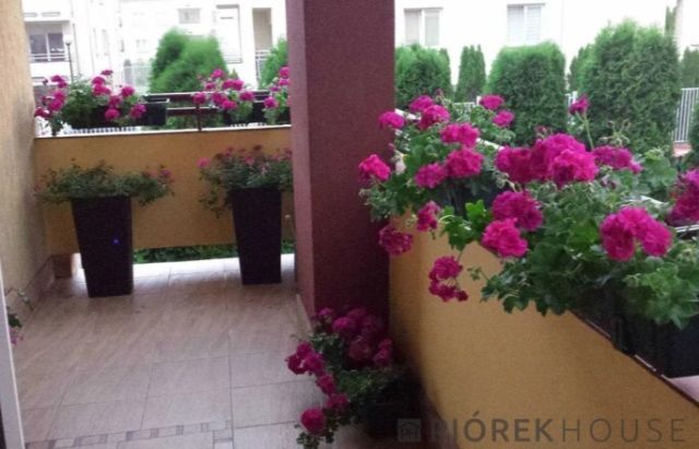 Mieszkanie 3-pokojowe Marki, ul. Elektryków. Zdjęcie 5