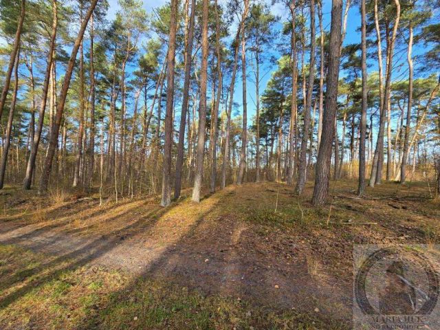 Działka budowlana Dziwnów. Zdjęcie 12