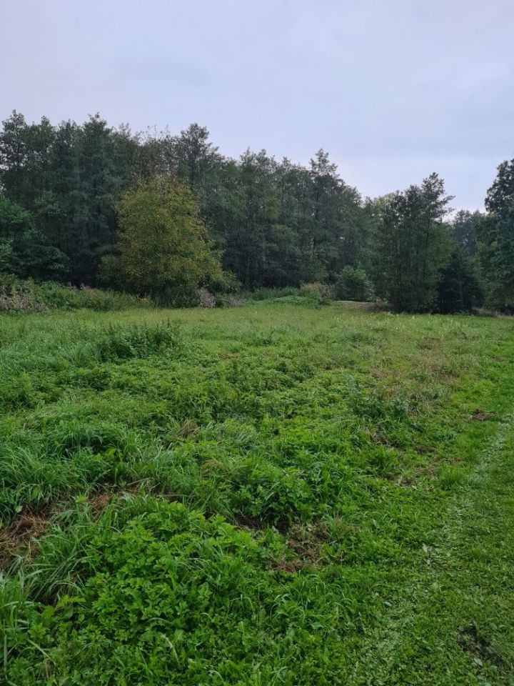 Działka budowlana Gołkowice, ul. Podlaska