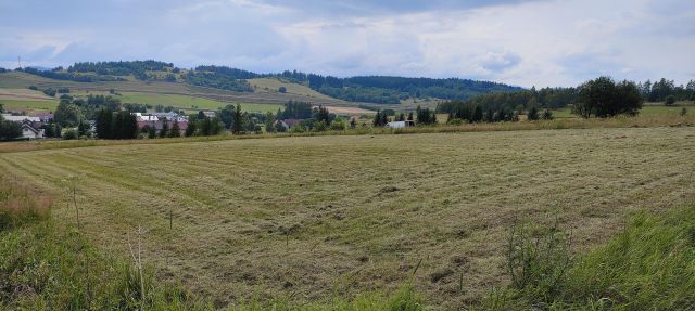 Działka rolno-budowlana Przedwojów. Zdjęcie 1