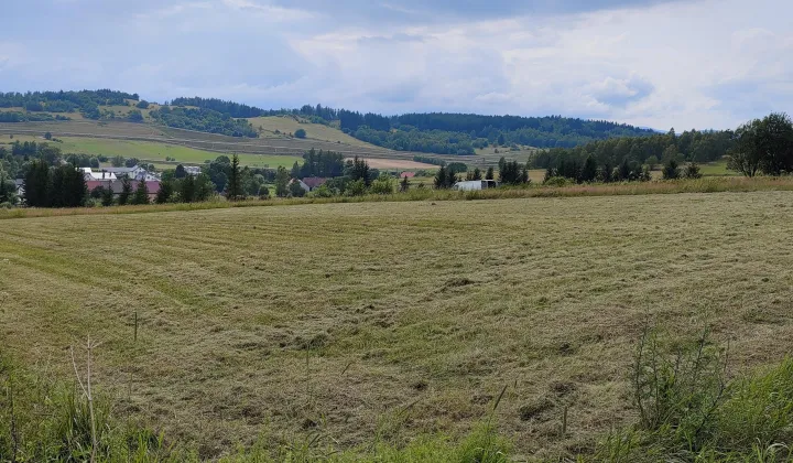 Działka rolno-budowlana Przedwojów