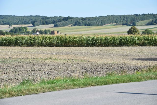 Działka budowlana Wierzbie. Zdjęcie 1