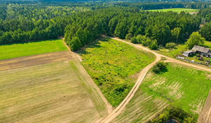 Działka budowlana Grzybów