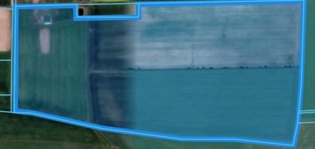 Działka rolna Krzeczkowo-Gromadzyn. Zdjęcie 1